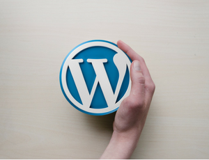 How To Add A Blog Post In WordPress (1)